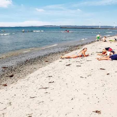 別荘 Gasehagevej X *